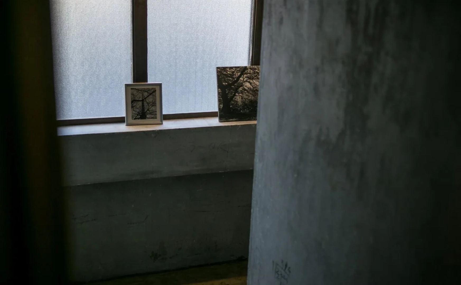 BACCHUS Kofu Guest House - Hostel