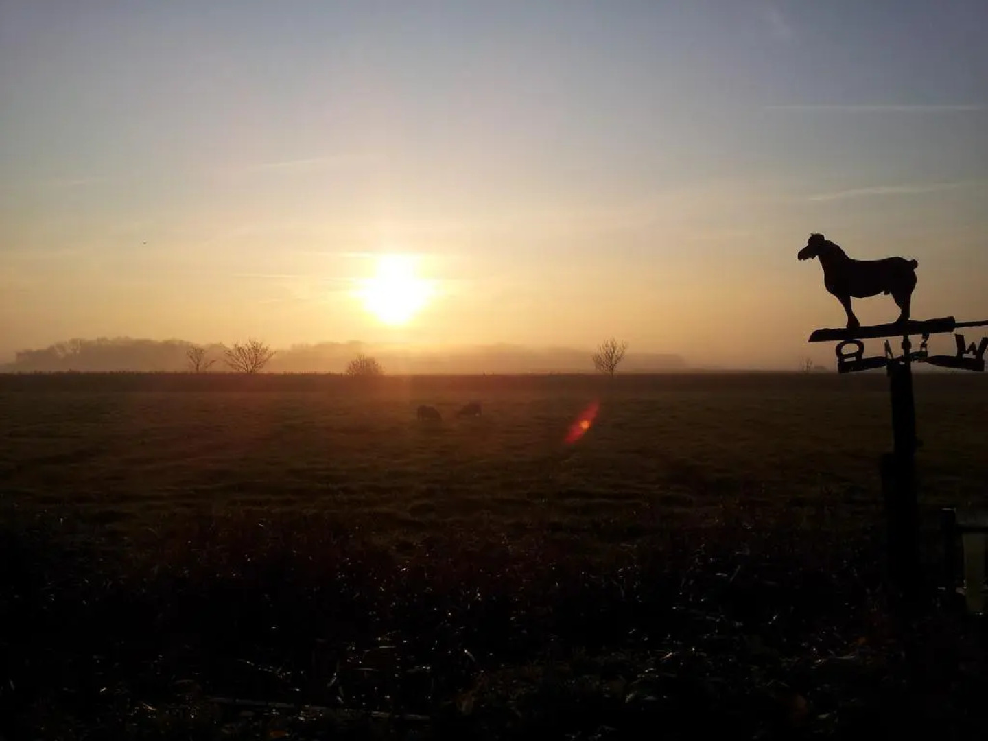 Hotel het Anker van Texel