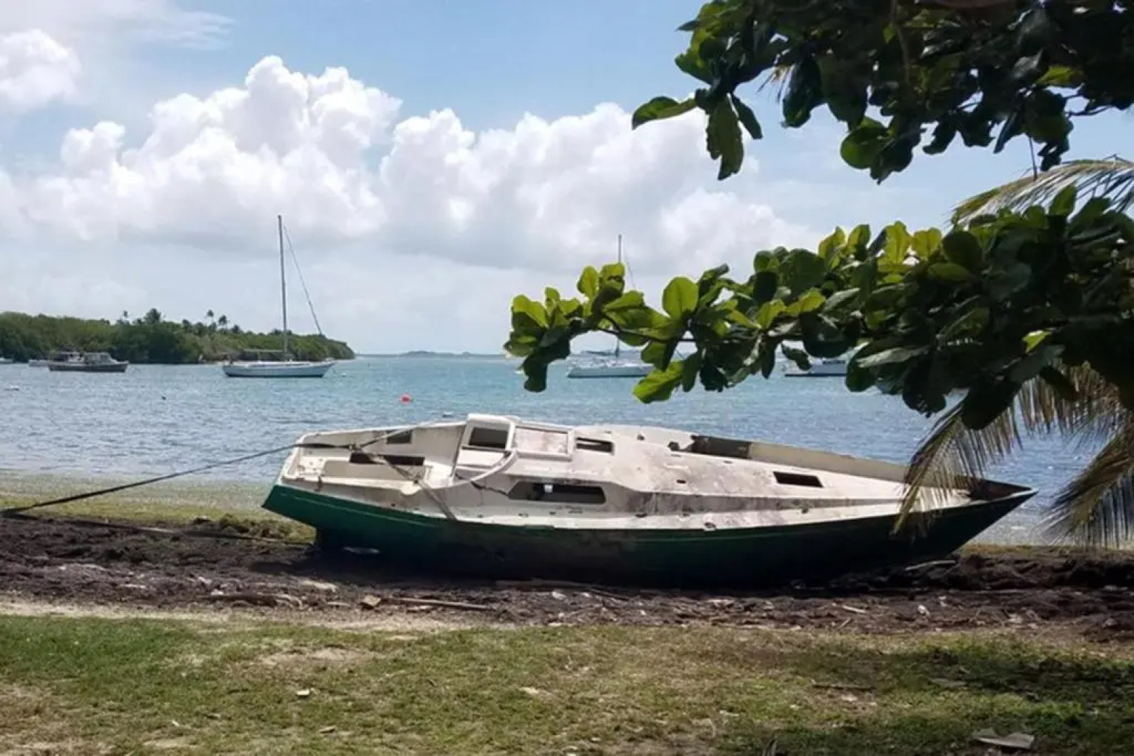 Cozy apartment near the beach (#3)