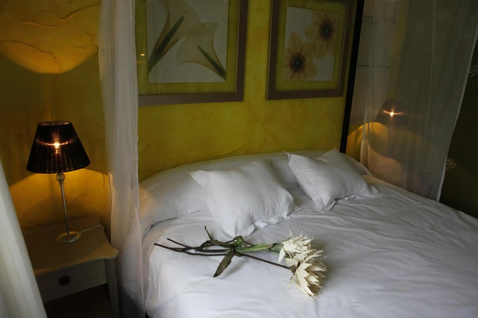 El Bosque de La Anjana