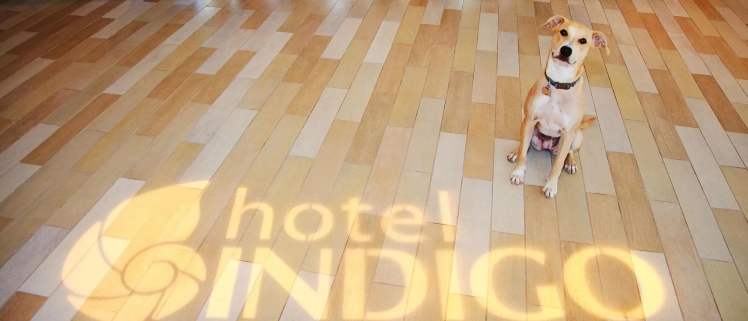 Hotel Indigo Atlanta Downtown by IHG