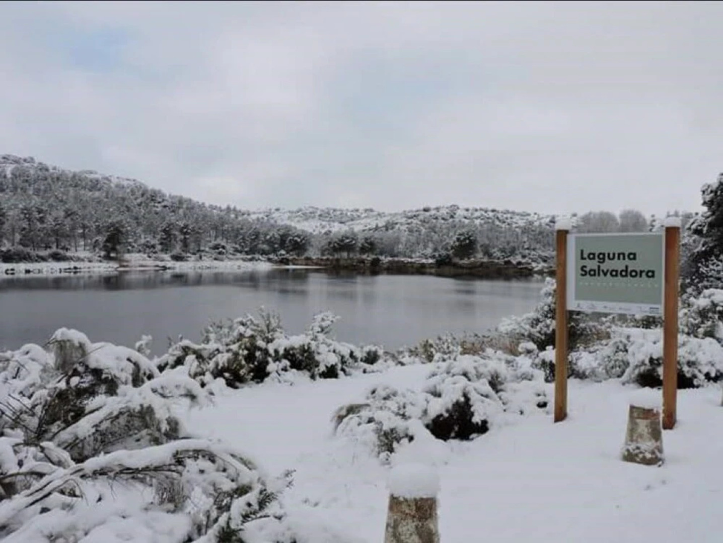 Hostal Apartamentos La Vereda