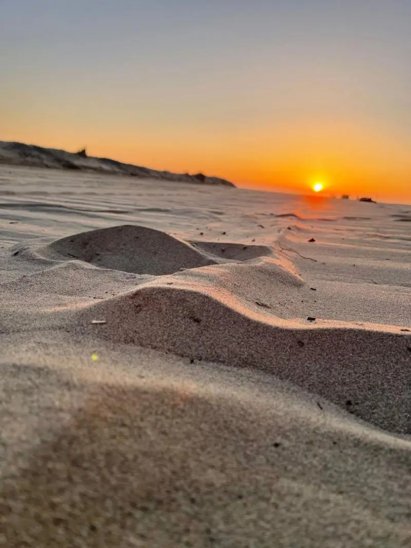 Club Del Sole Spina Family Collection