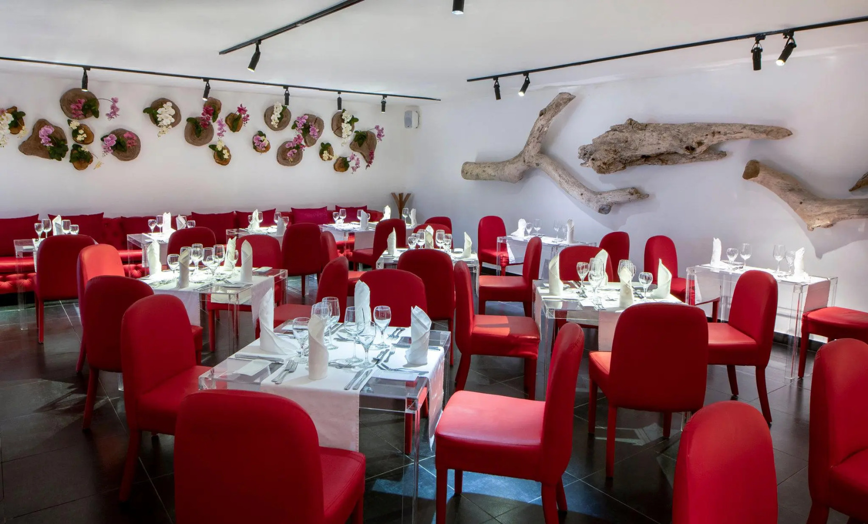 Viva V Samana by Wyndham, A Trademark Adults All Inclusive