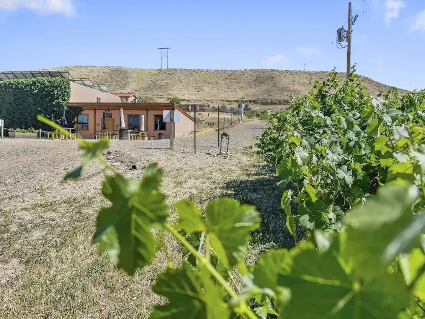 Quiet Garden Sanctuary 1 Bedroom Home