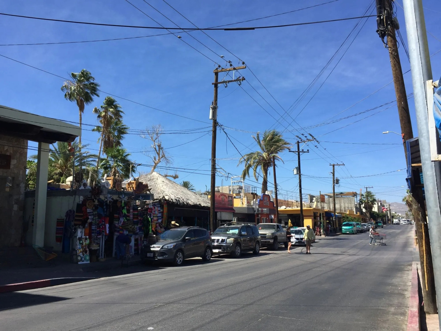 Baja's Cactus Hostel