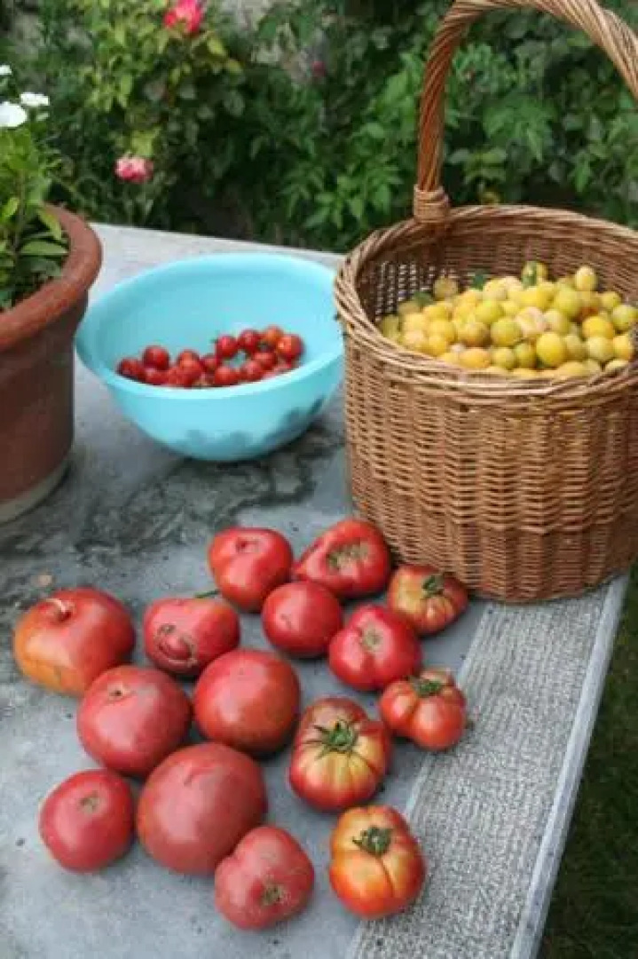 Chambre d'hôtes La Romarine