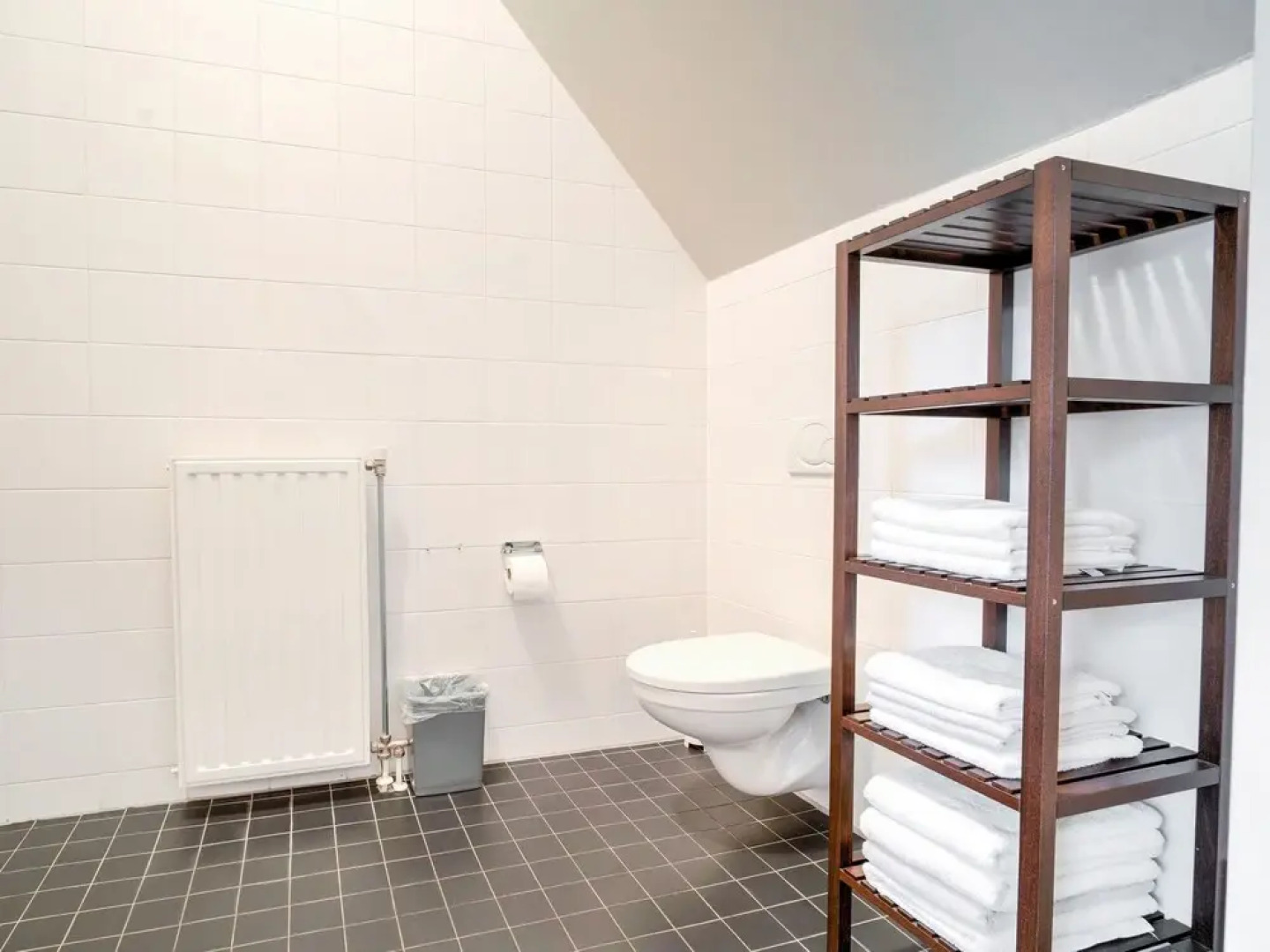 Holiday Home in Dwingeloo