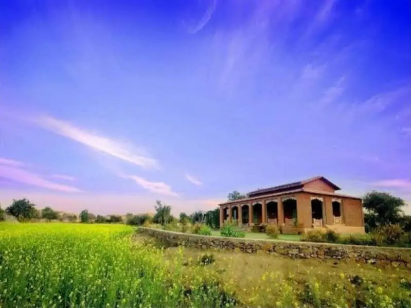 Bagheera Camp Jungle Retreat