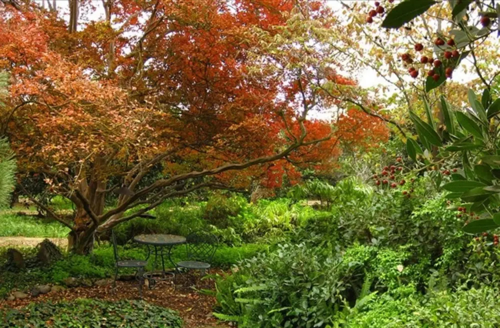 Wicky Up Ranch Bed and Breakfast