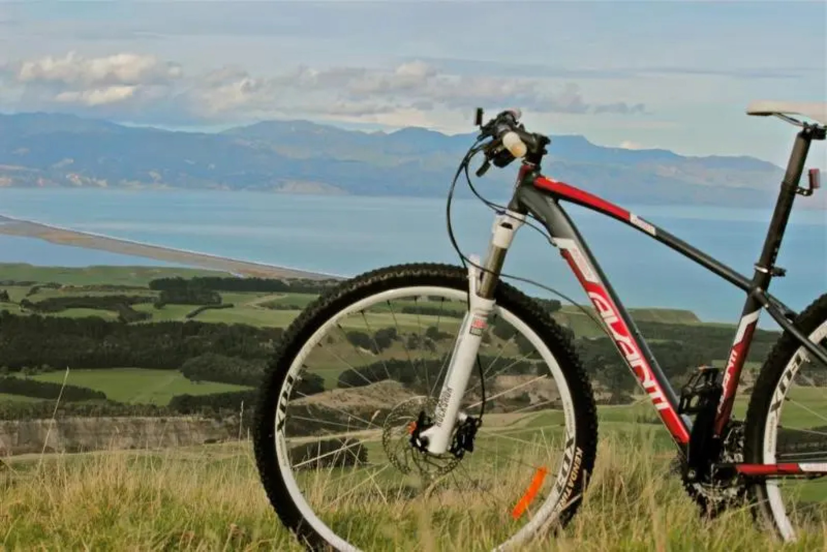 Wharekauhau Lodge & Country Estate