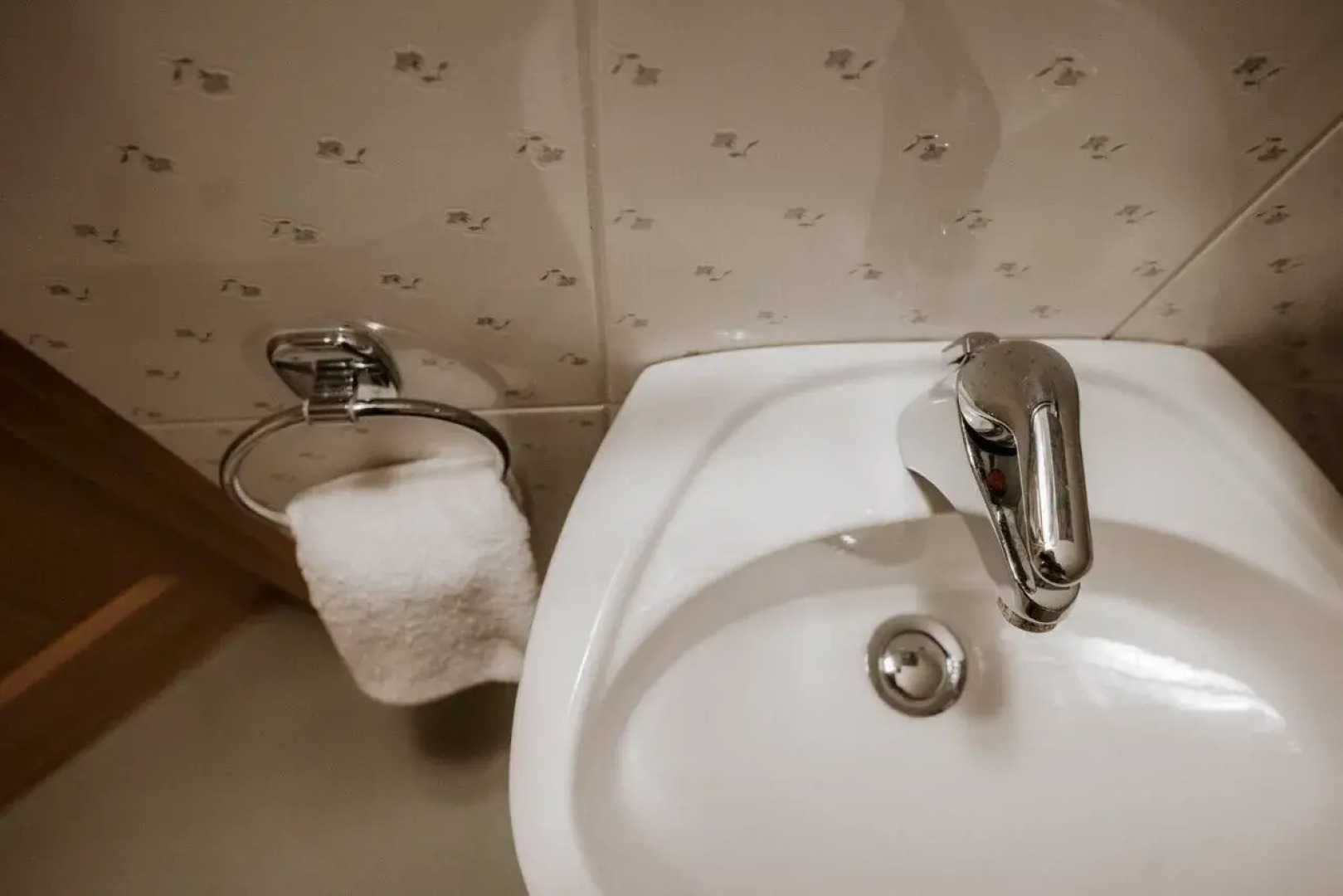 Vineyard cottage Zdolšek