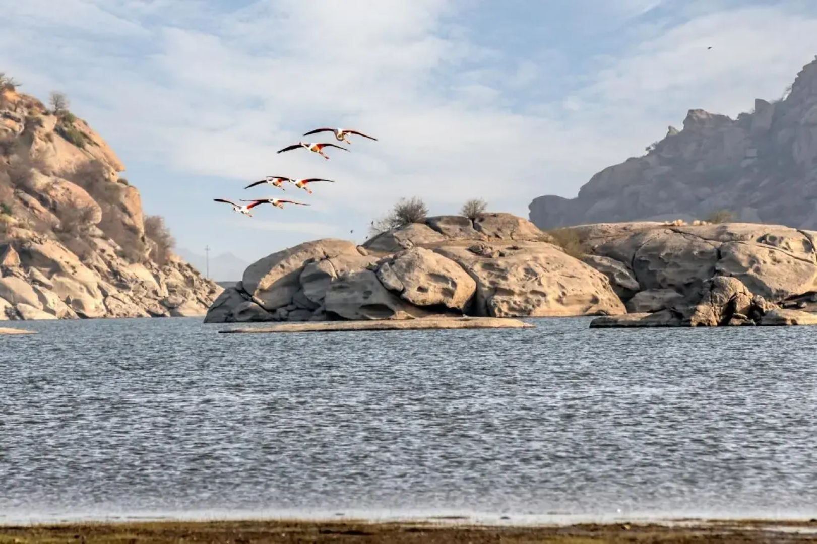 Lords Eco Inn Jawai-Sumerpur