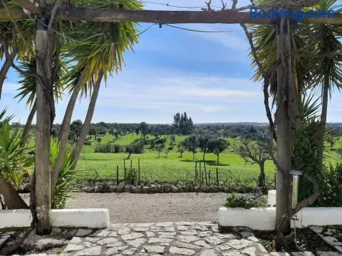 Casa Branca do Olival