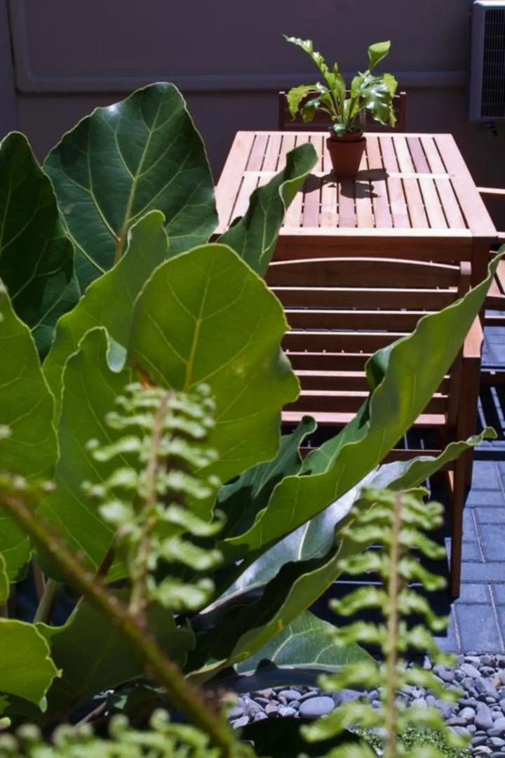 Regal Palms 5 Star City Resort