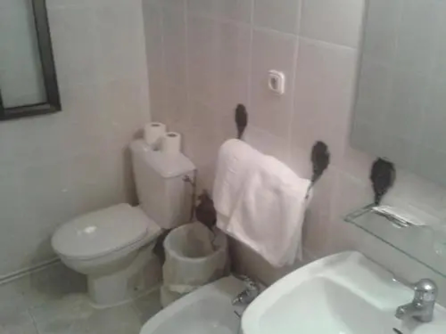 Hostal Restaurante Los Bronces