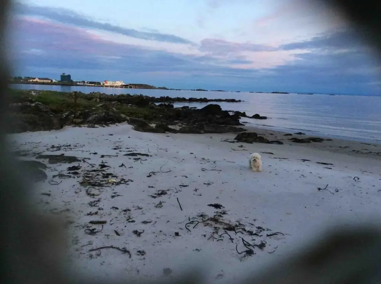 Quaint and Quirky Coastal Cottage Islay