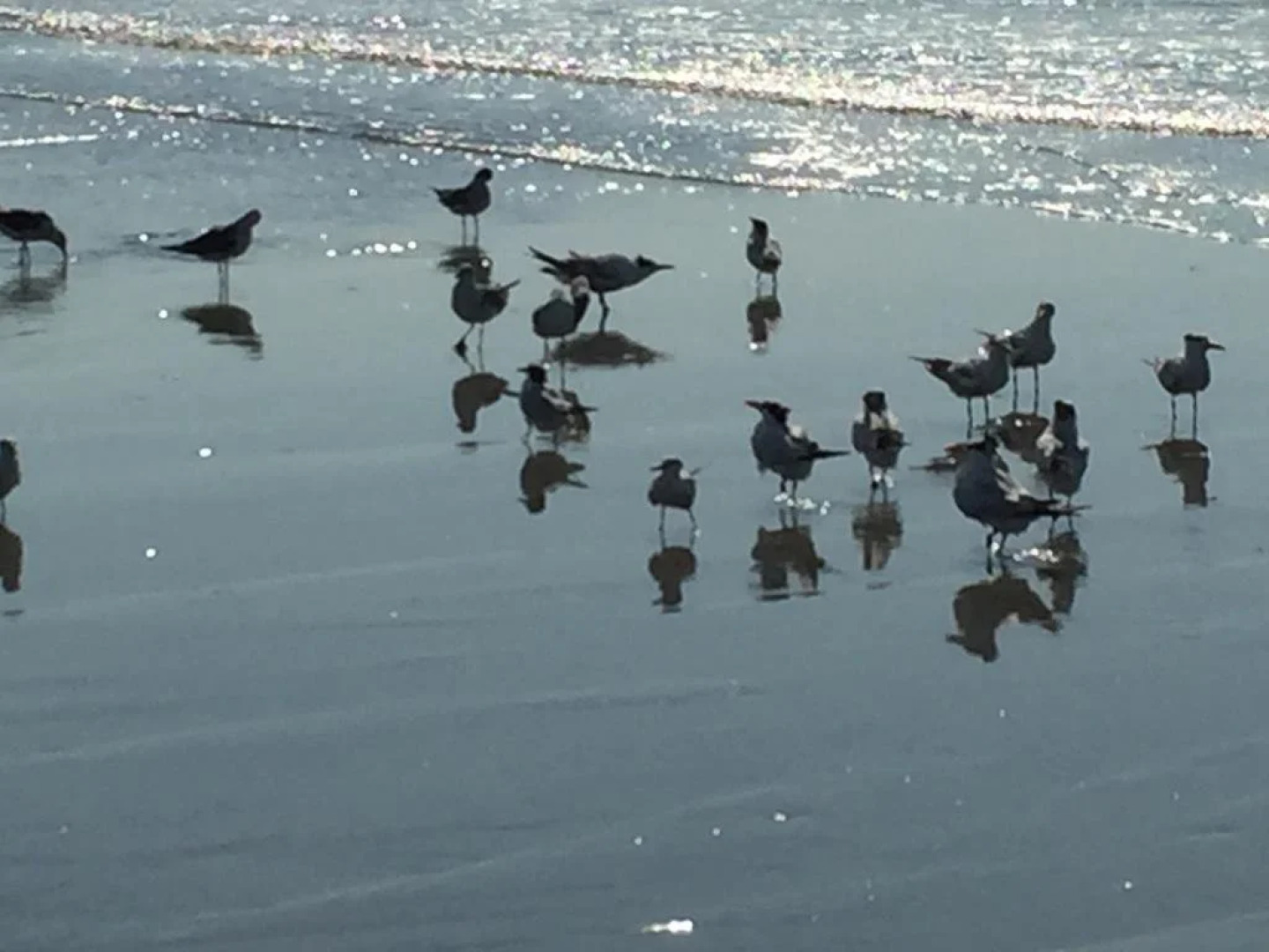 The Lodge at Sea Island