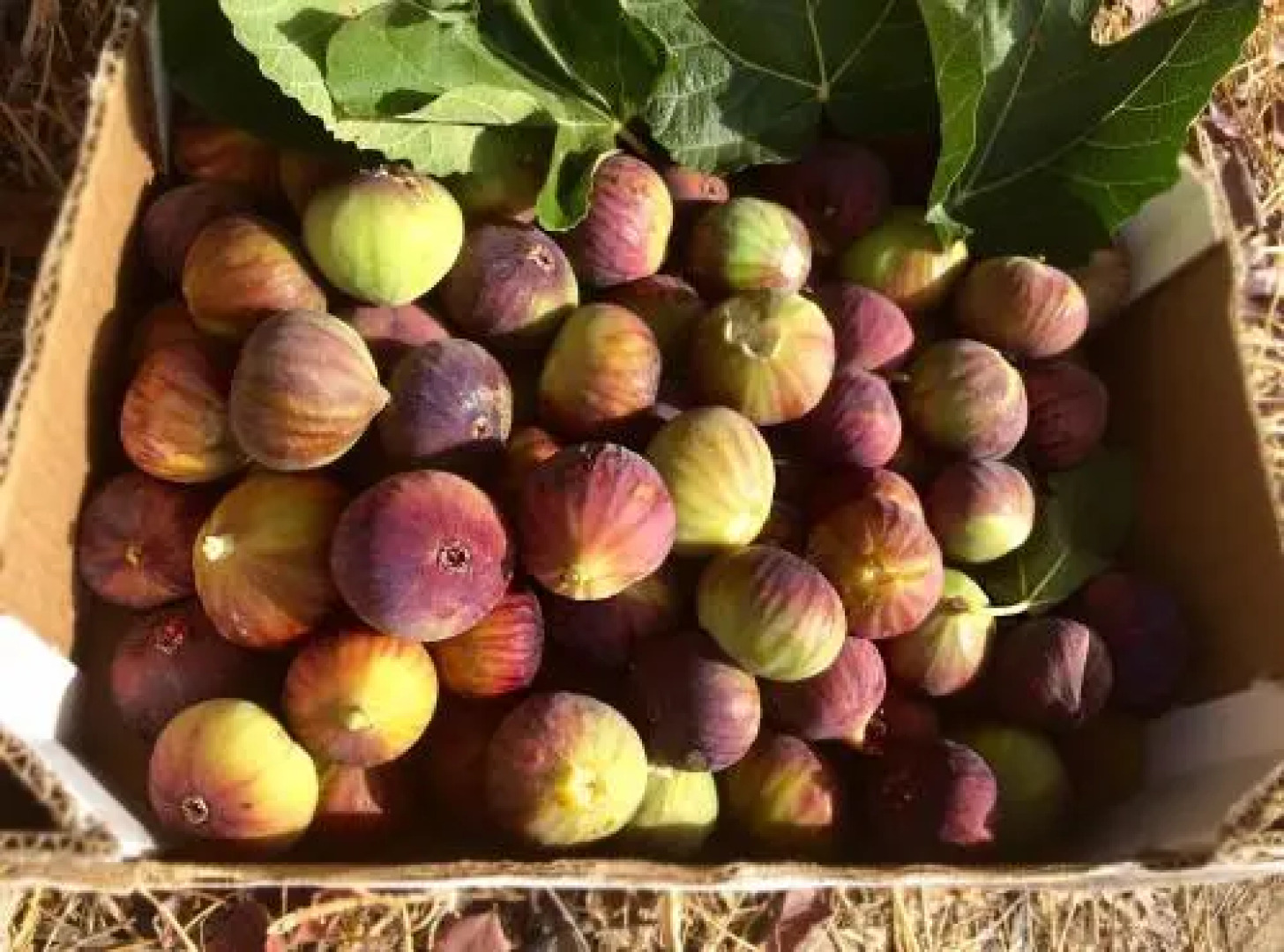 Relais Santa Croce All'Eremo