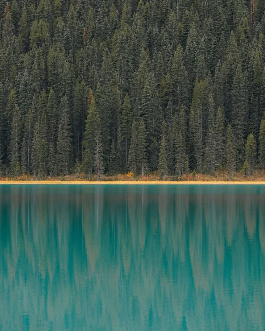 Johnston Canyon Lodge and Bungalows