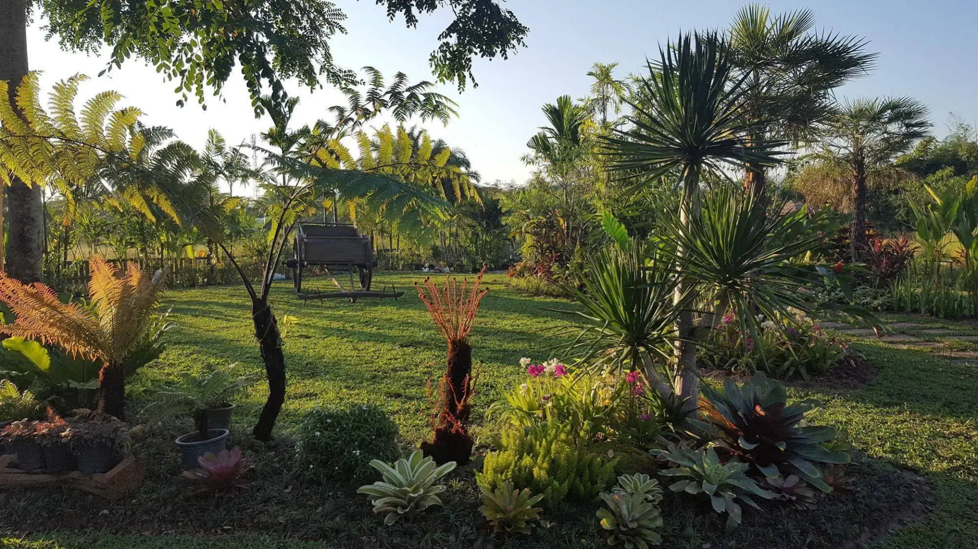 Rice and Zen Boutique Resort