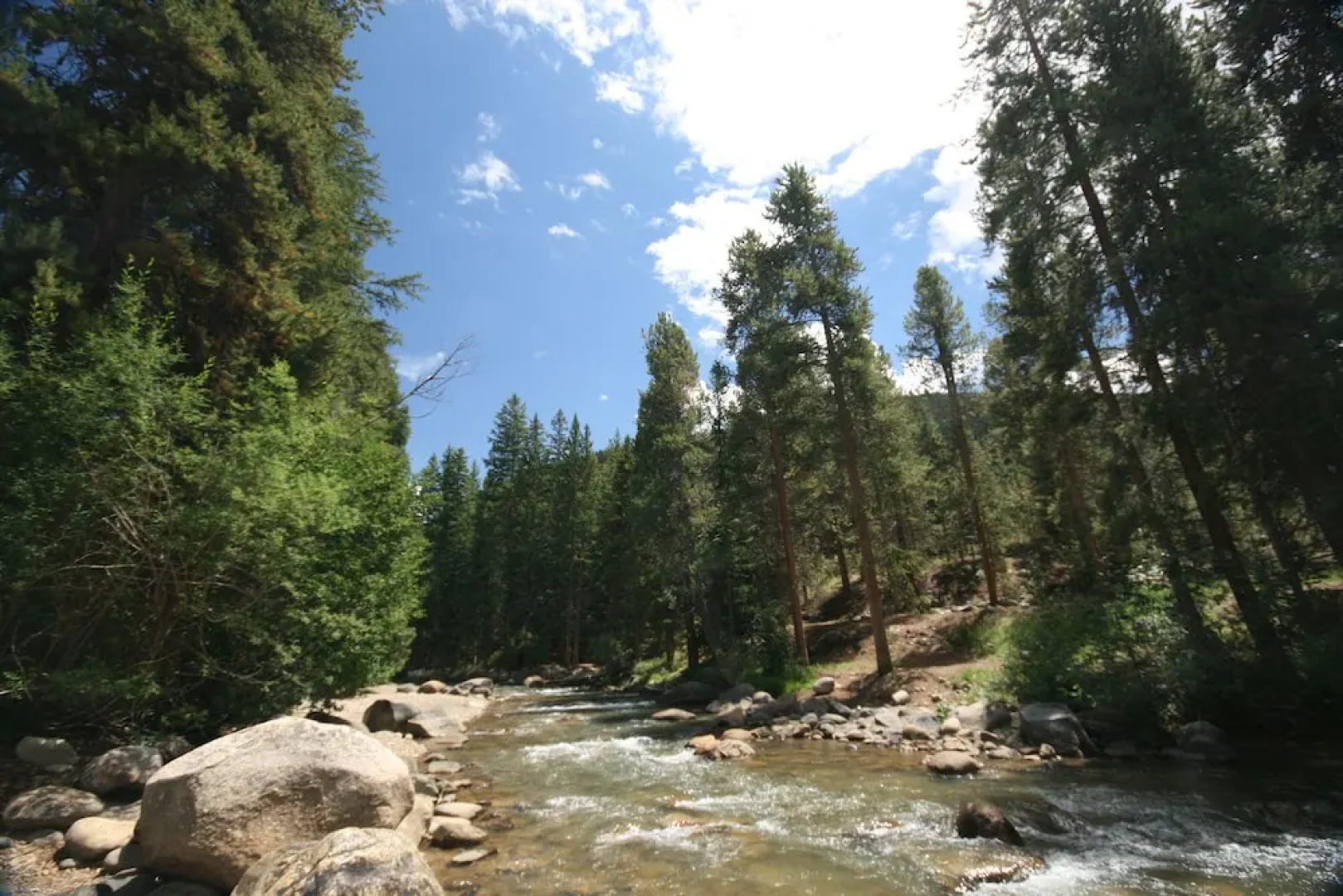 Pines 2133