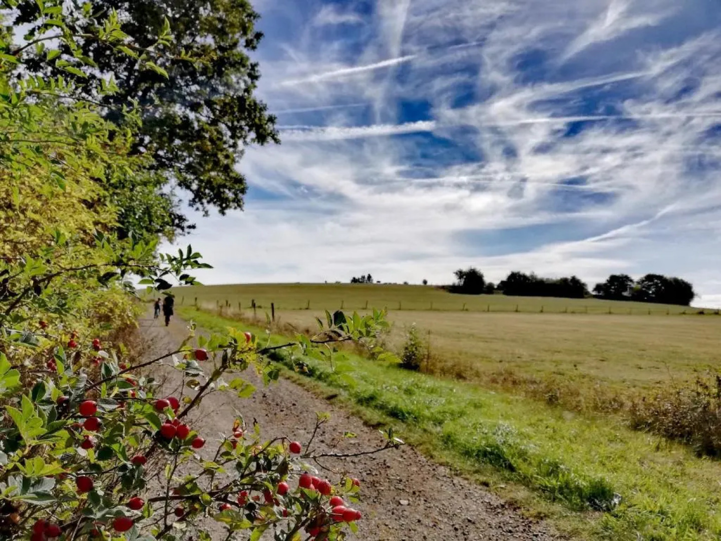 Ferienwohnung Wiesenschneiders