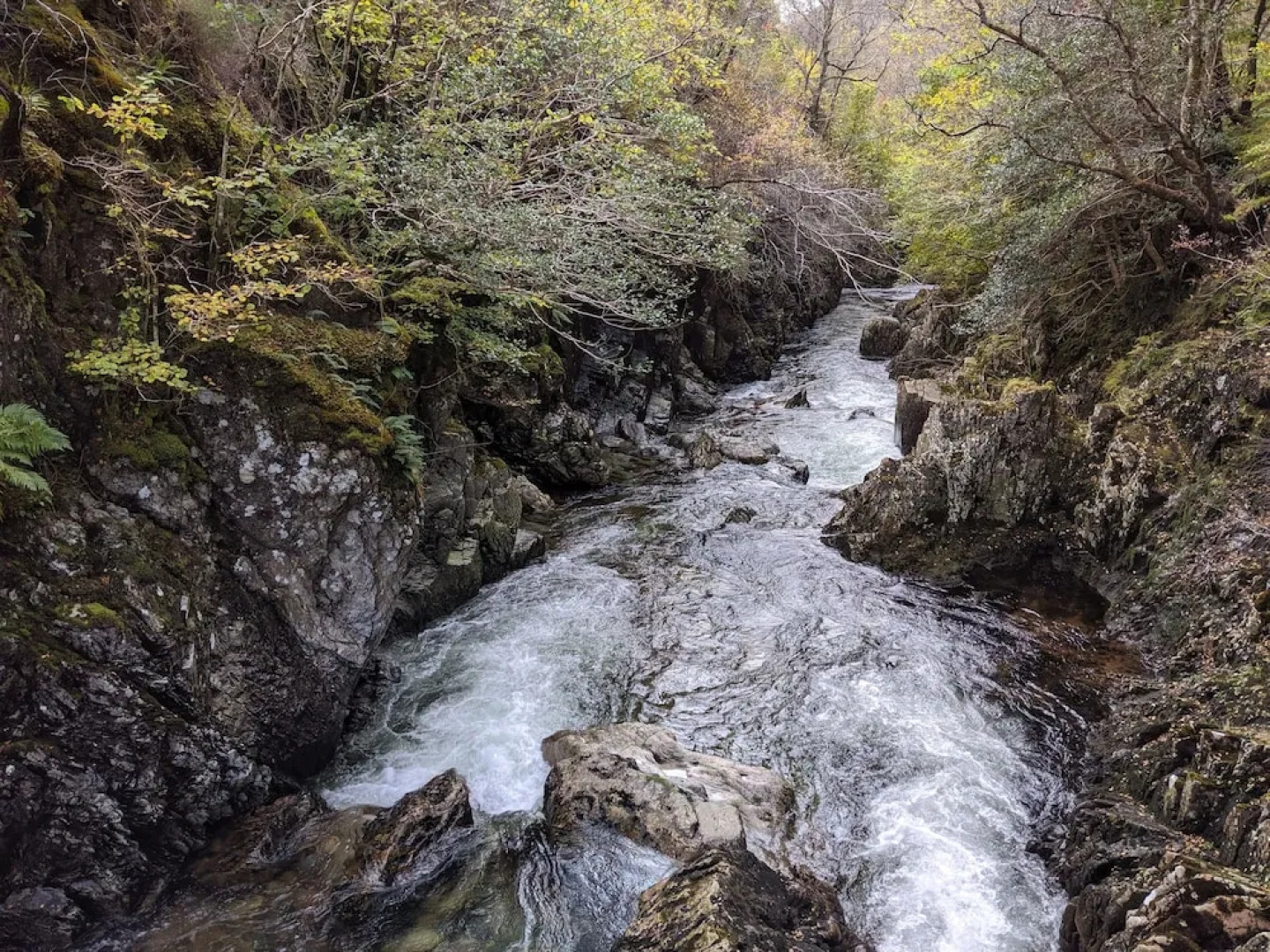 Strath Lodge Glencoe