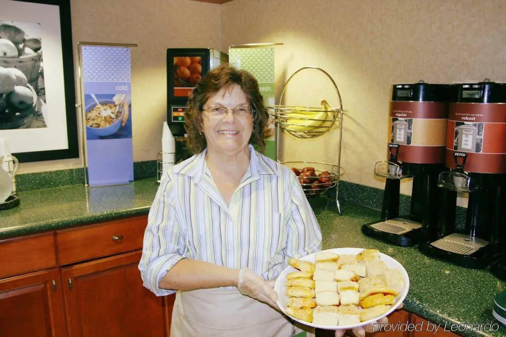 Hampton Inn Hotel Detroit/Belleville-Airport Area