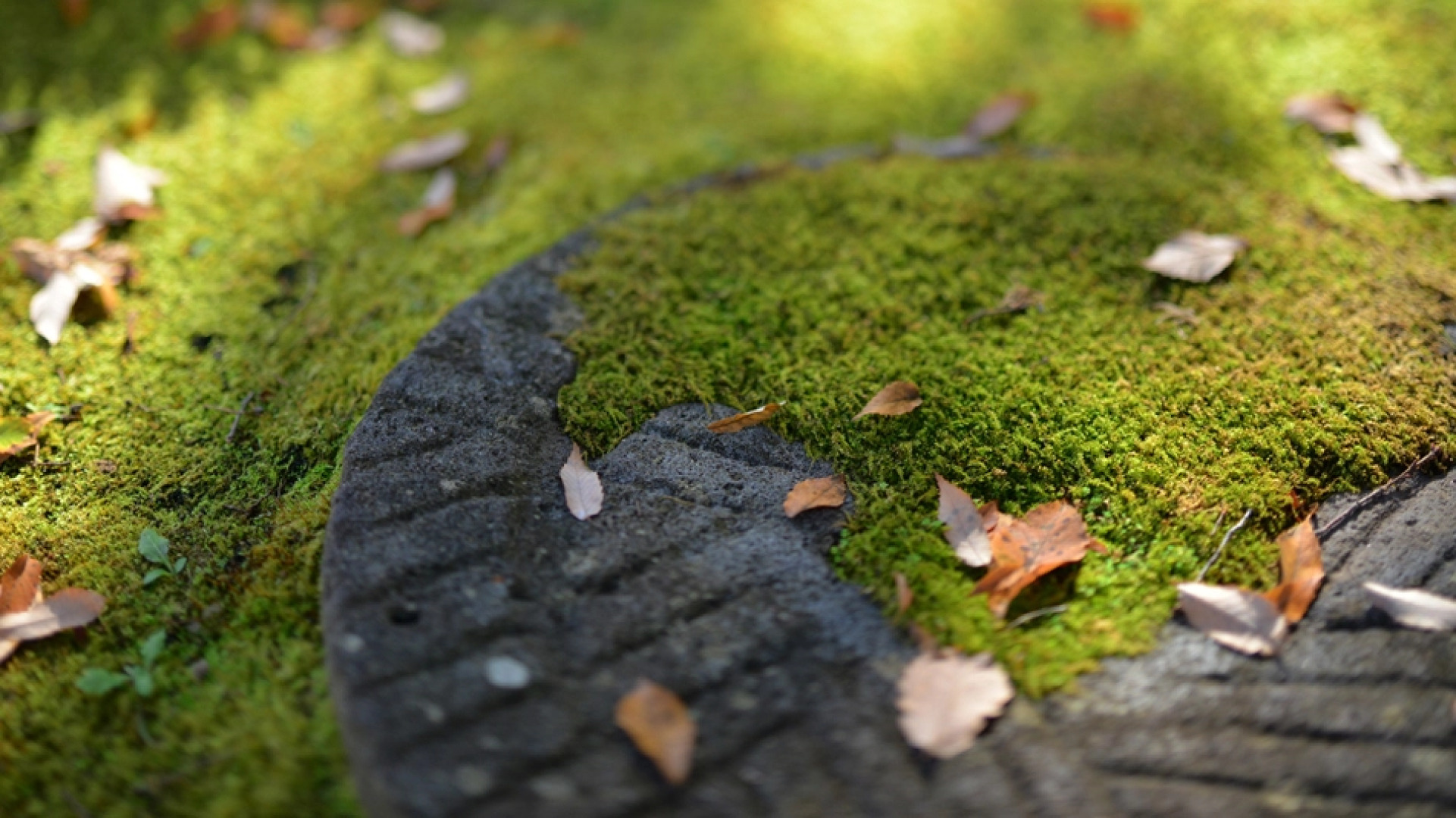 Kamimoku Onsen Hatago Shouya