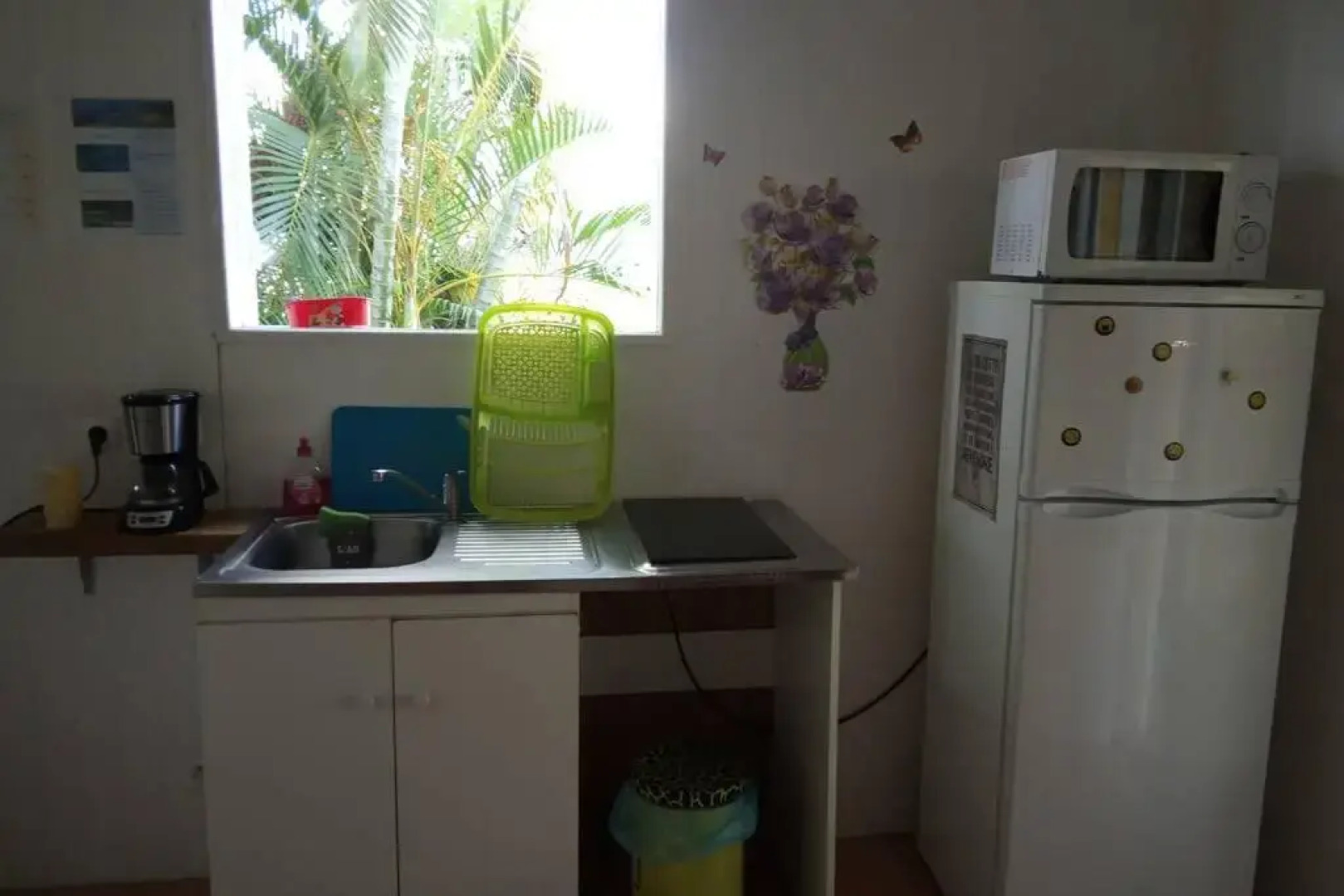 Studio Dans Un Ecrin Vert