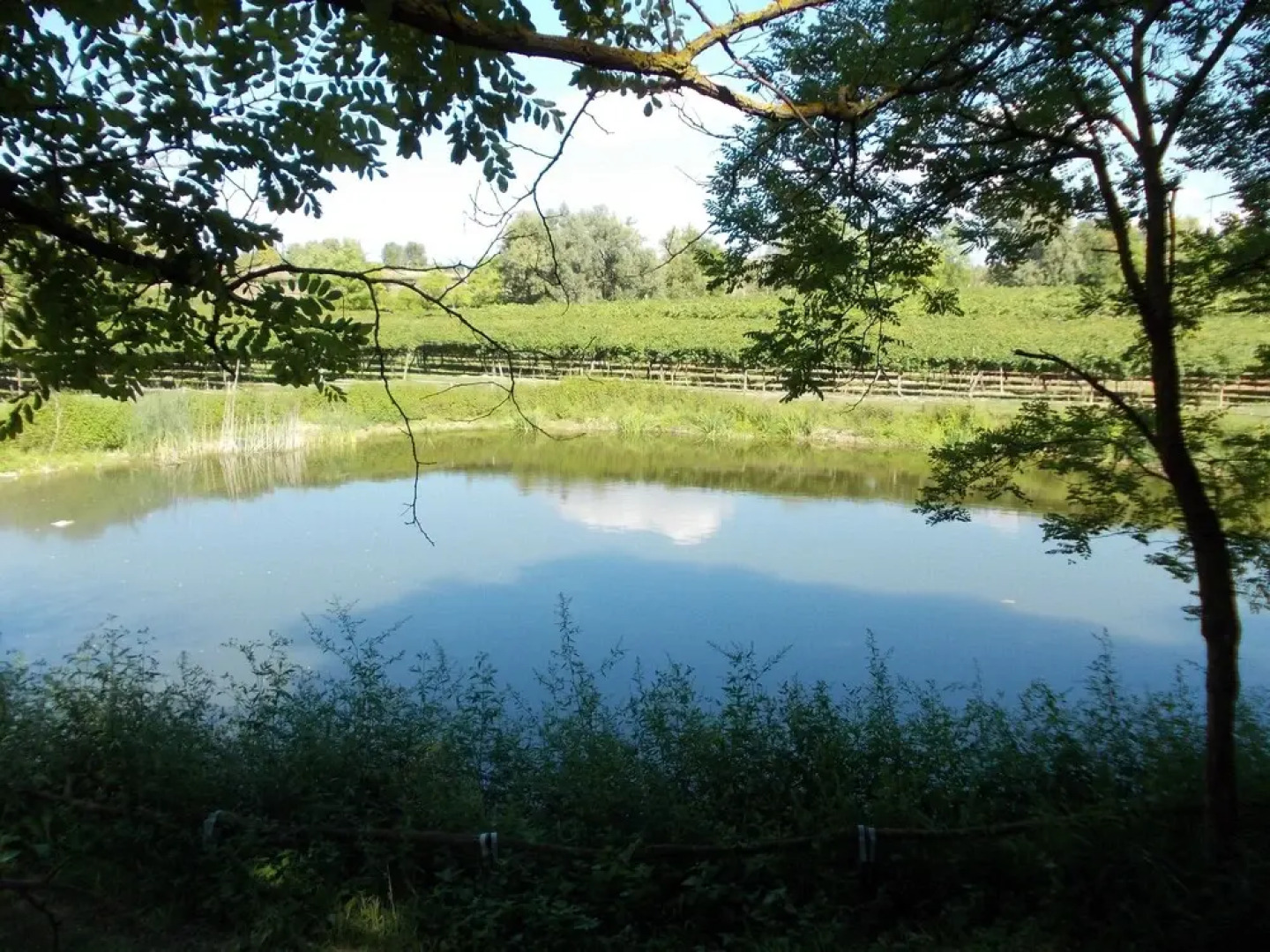 Agriturismo Ca' Vecia