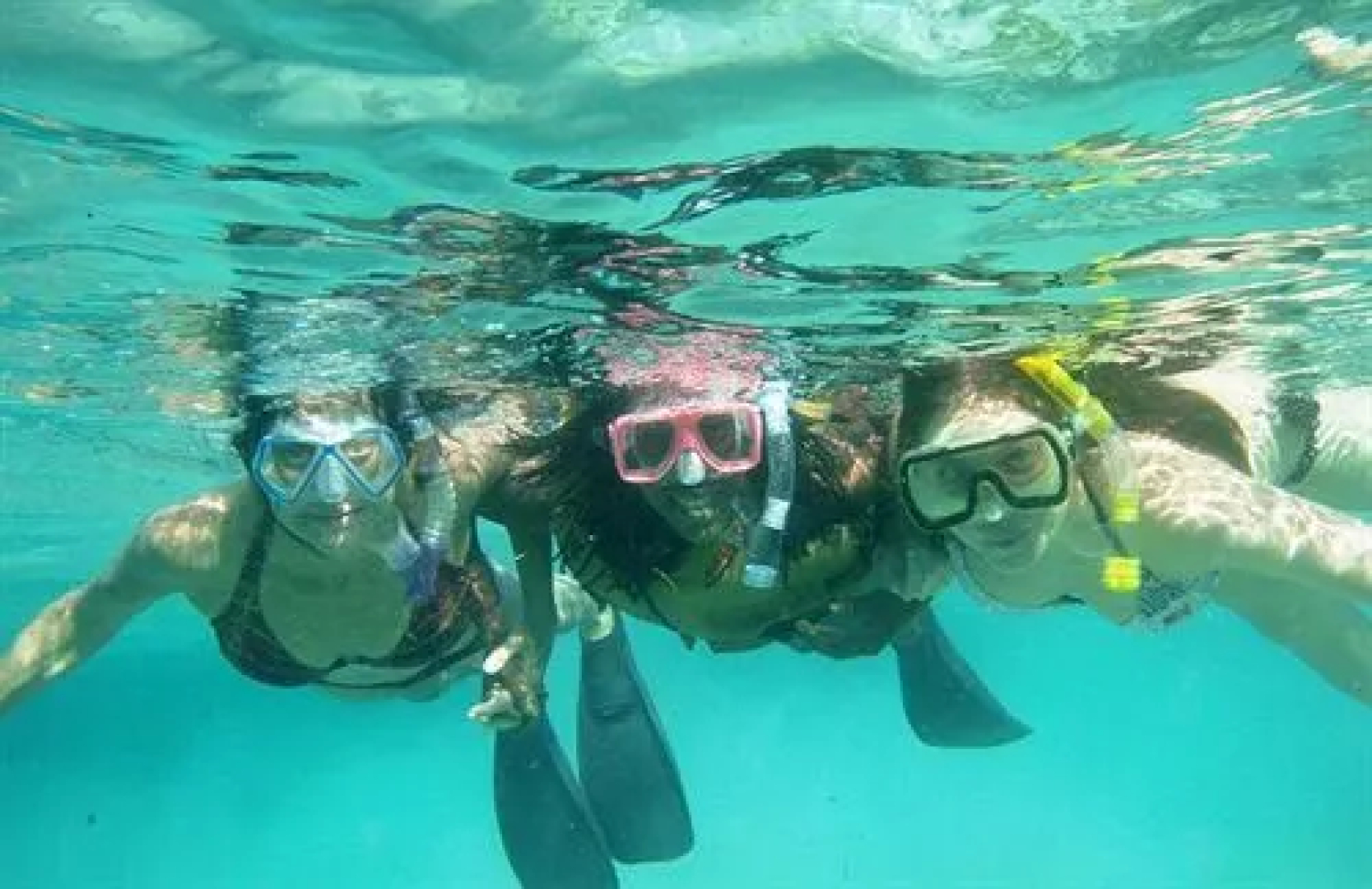 The Palms at Pelican Cove