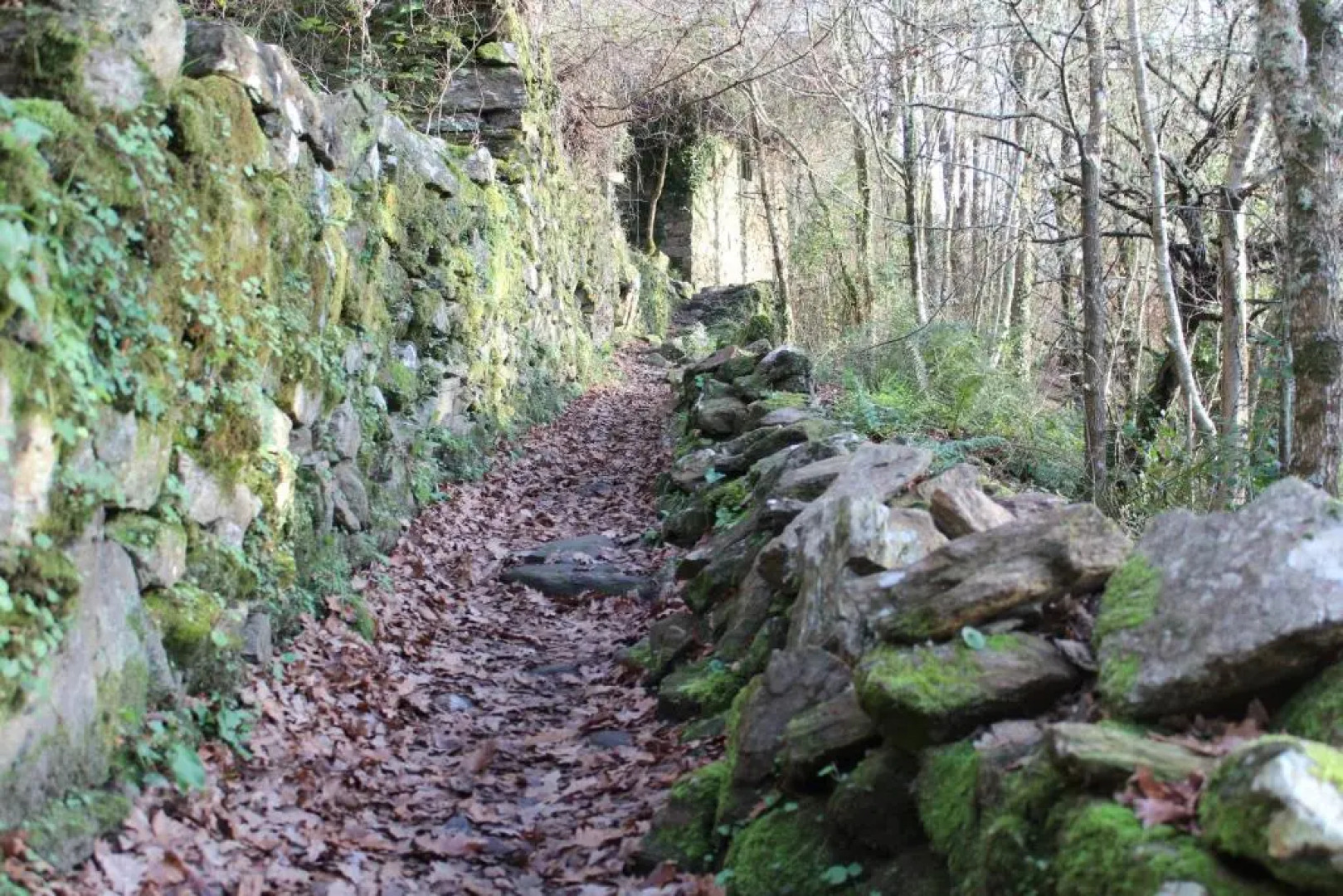Apartamentos Pantón Ribeira Sacra