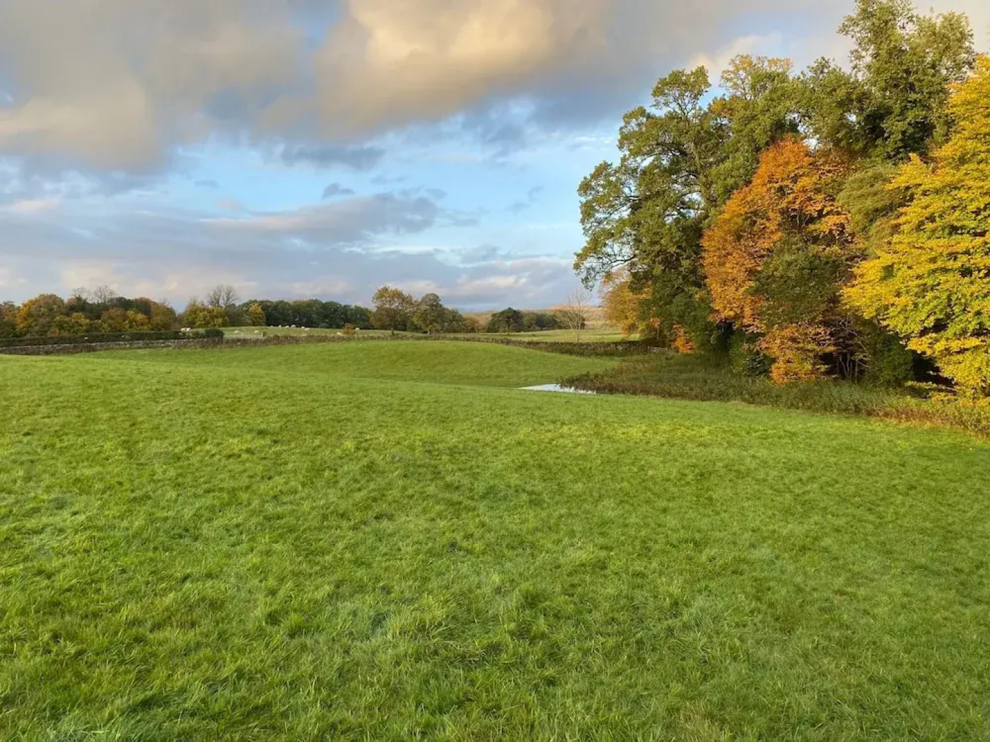 Cosy and Stylish Cottage in Thornhill