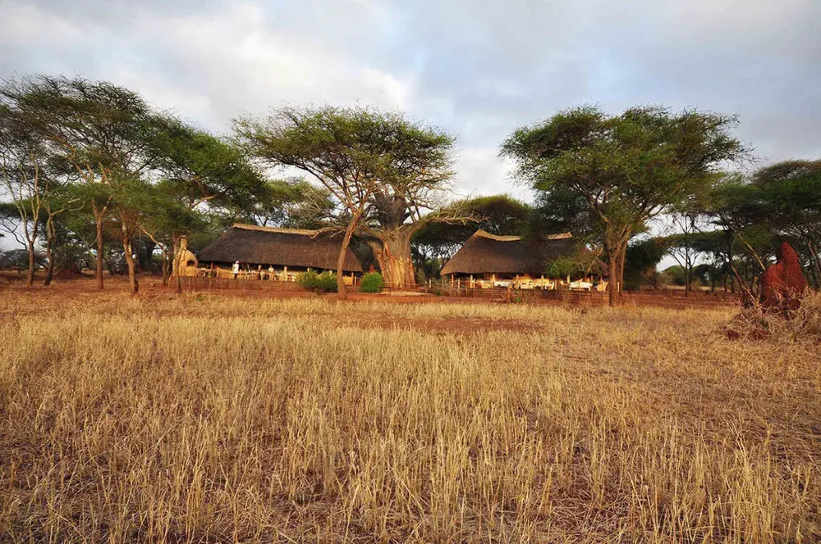 Sanctuary Swala