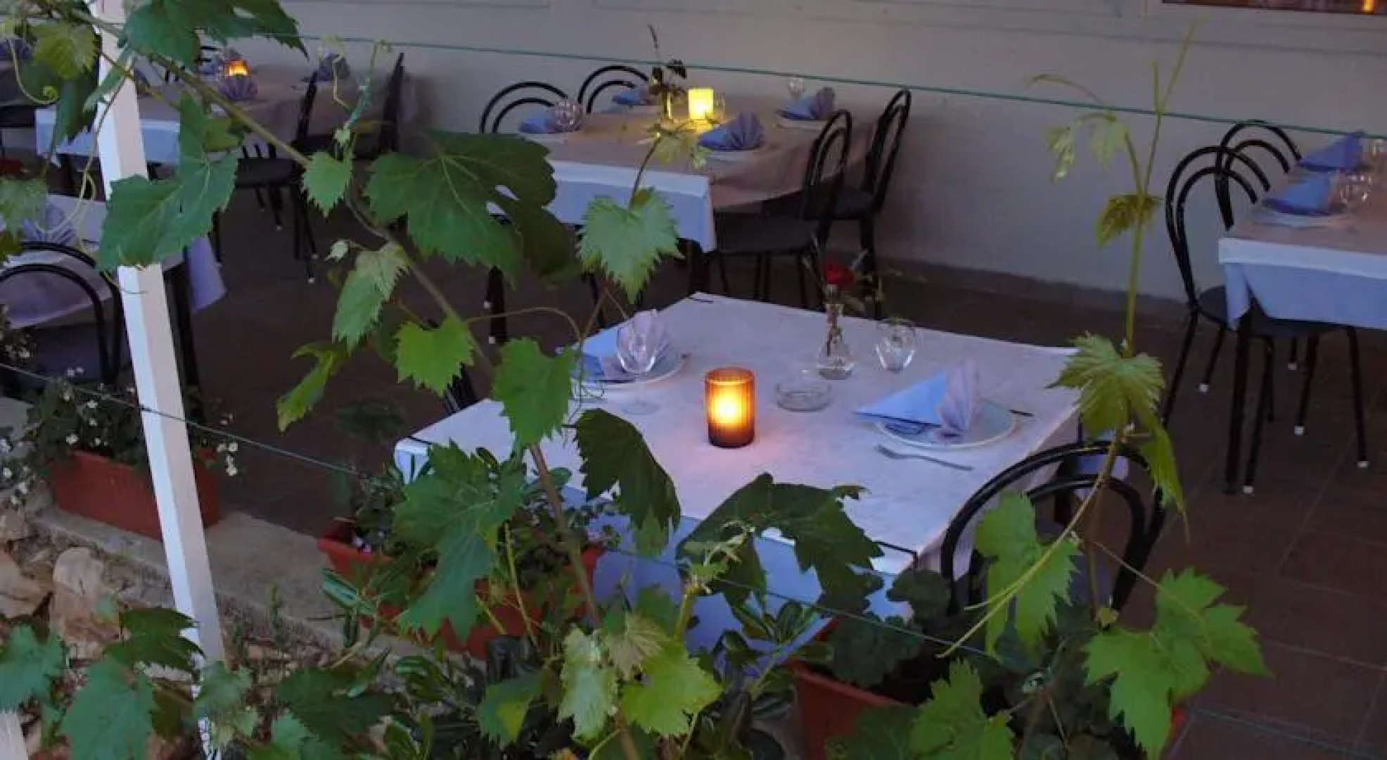 Pansion Comfort Sidro