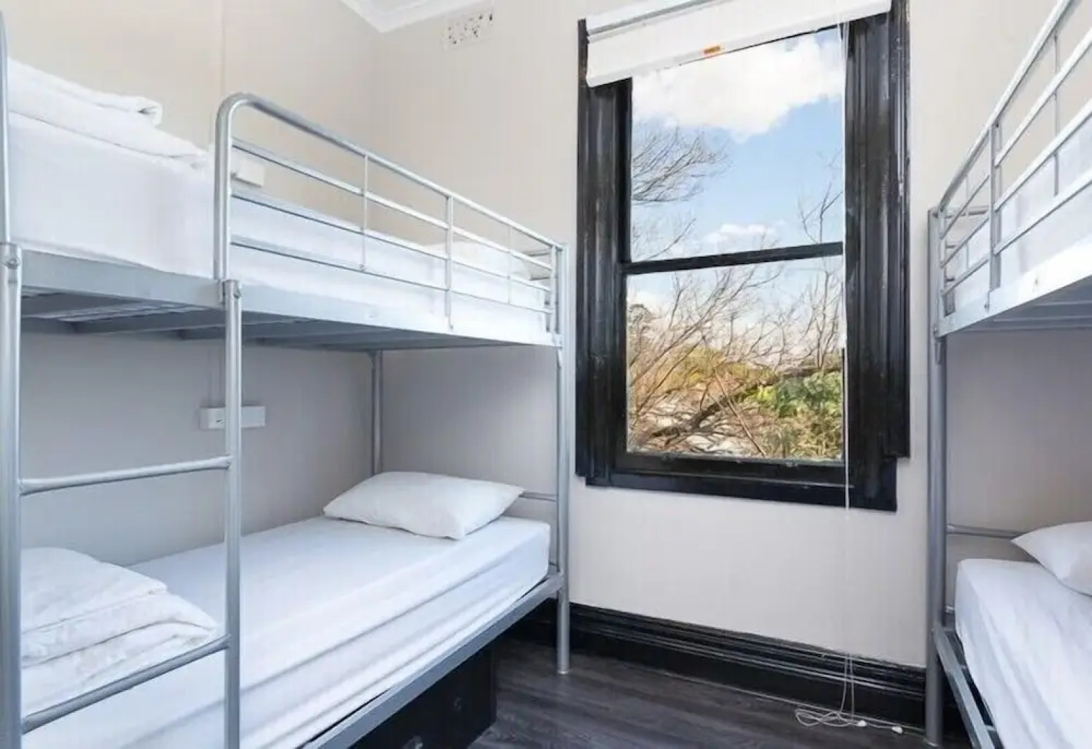 Little Drifter Glebe