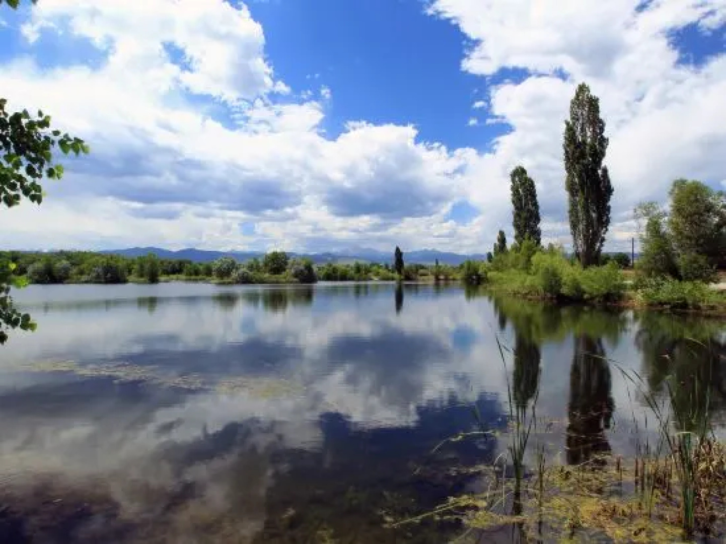 SpringHill Suites Boulder Longmont