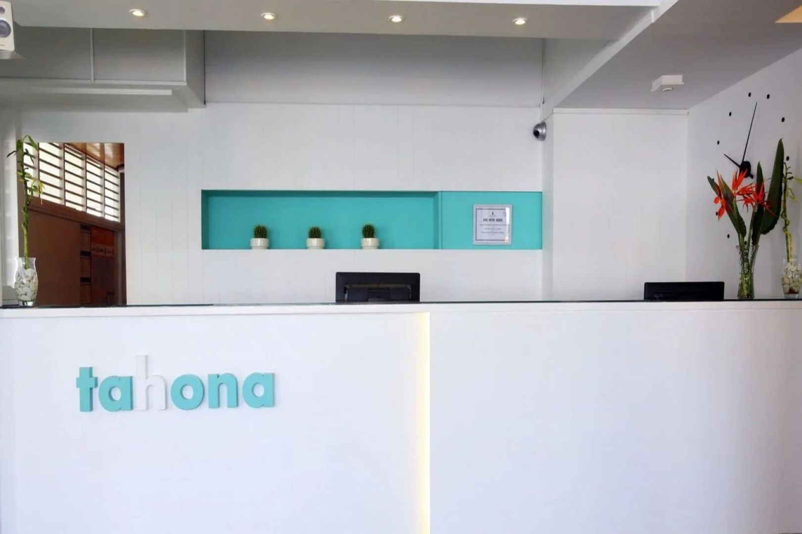 Smy Tahona Fuerteventura