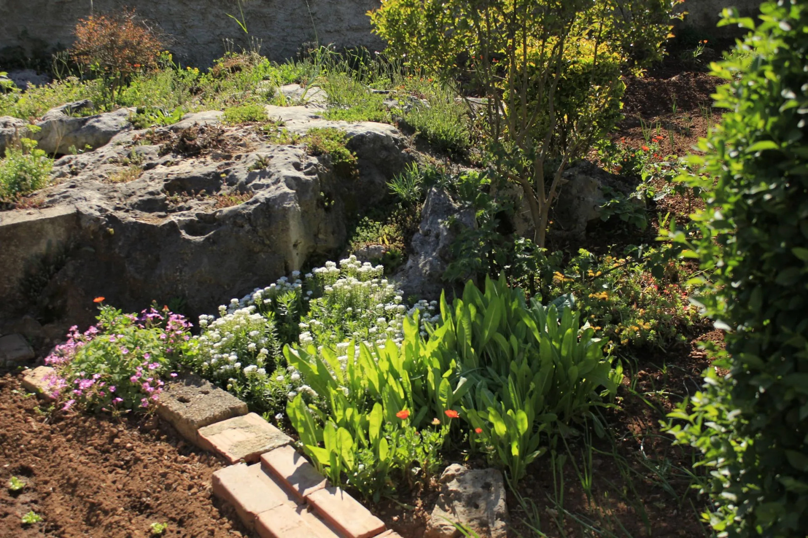 Holiday house Pavica K Pasman. Island Pasman