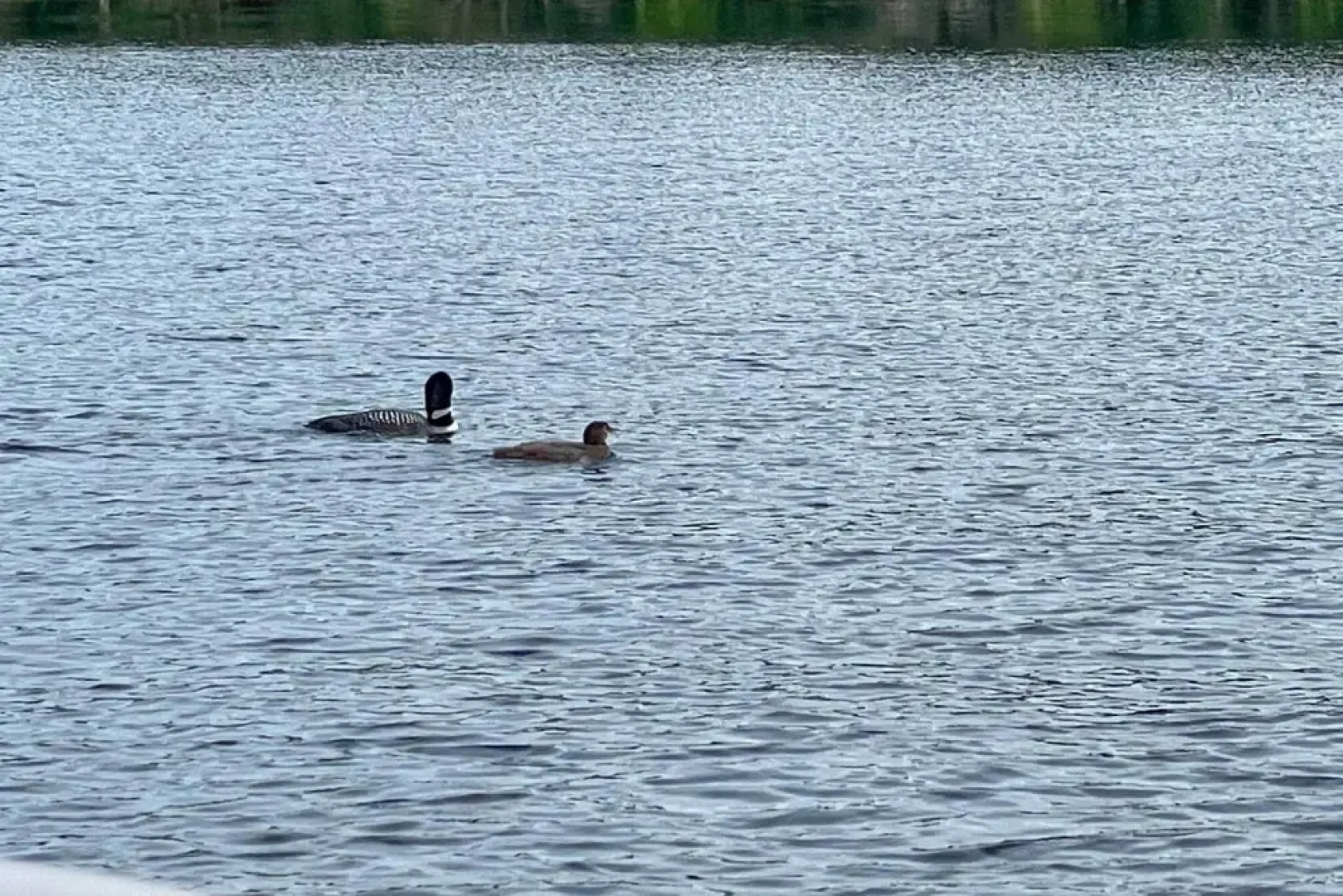 'the Birches' Raymond Getaway w/ Beach & Boat Dock