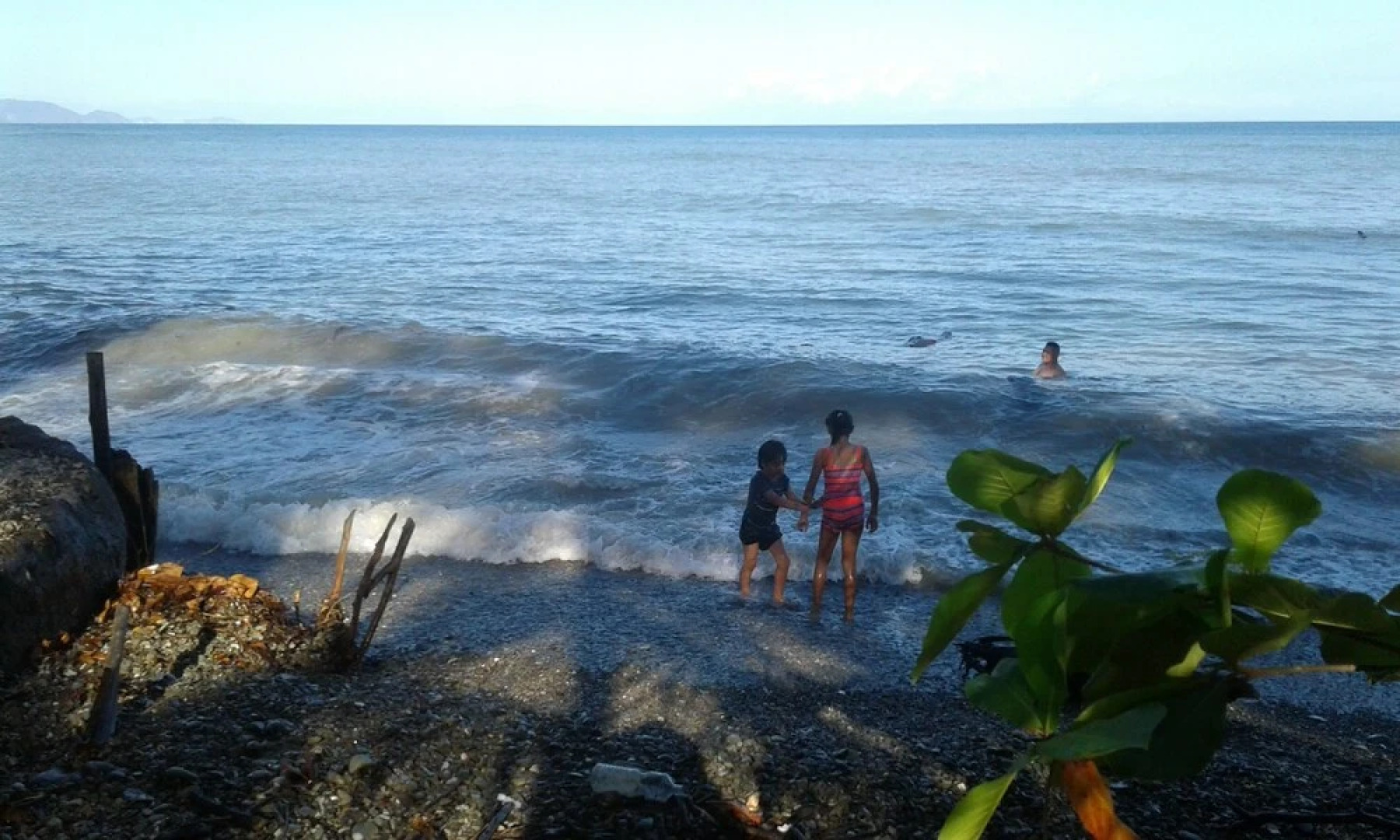 The Howler Monkey Hotel