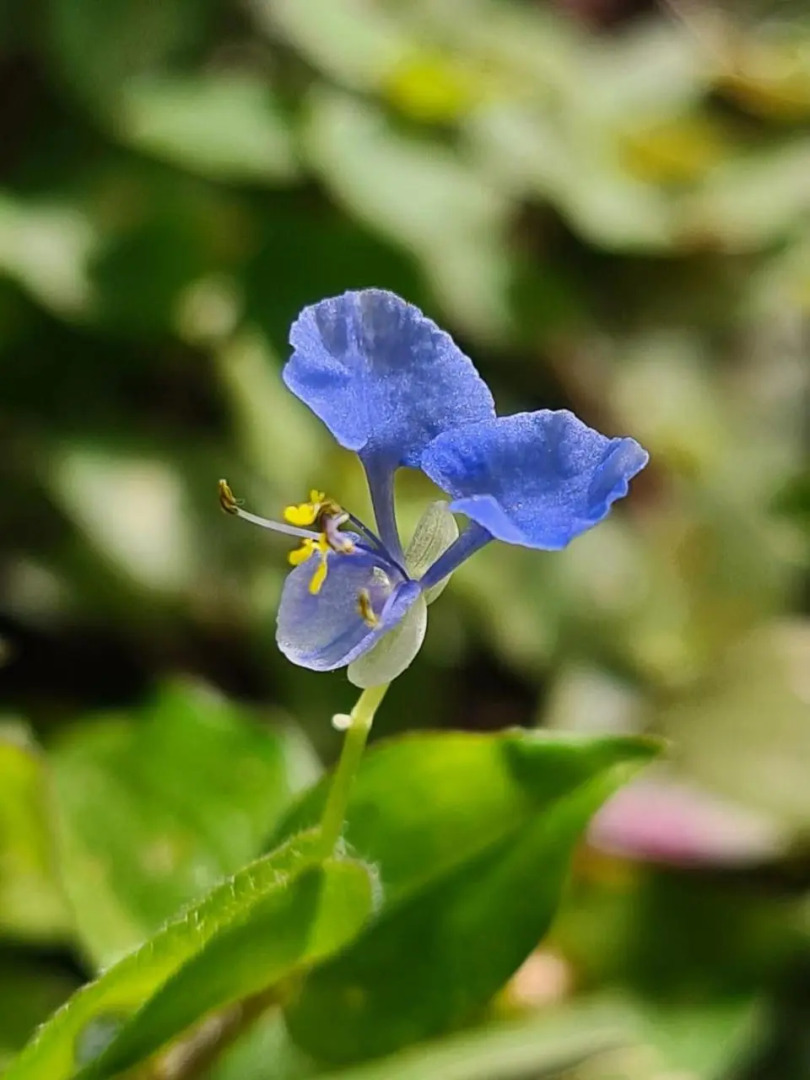 Sossego e aconchego ao lado do INHOTIM
