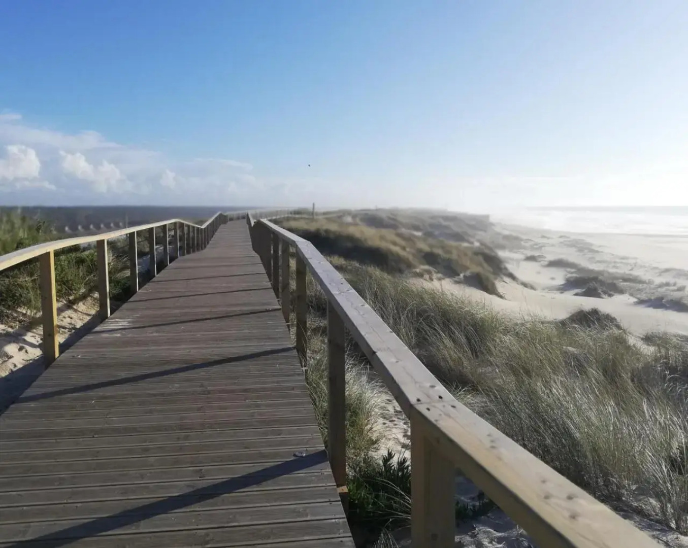 O VIOLAS — Tapas & Bed