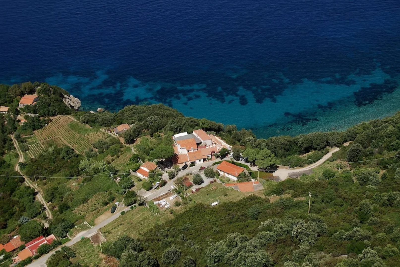 Hotel Oleandro