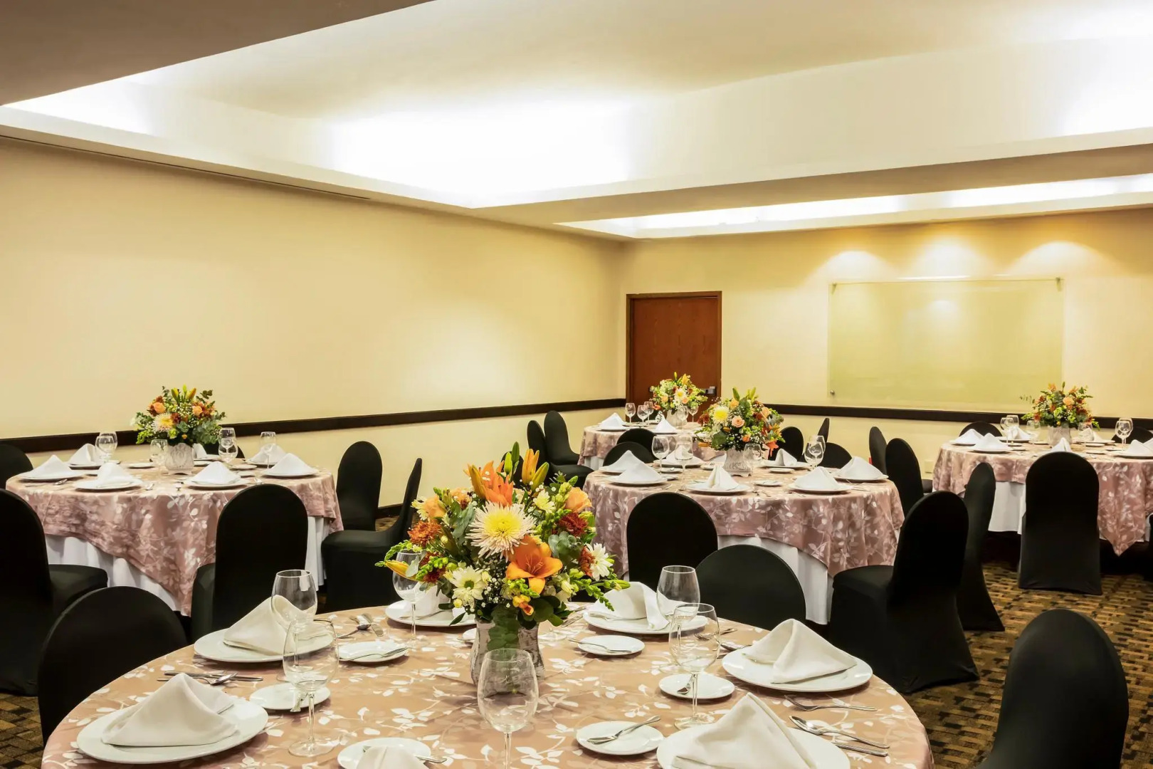 Fiesta Inn Express San Luis Potosí Oriente