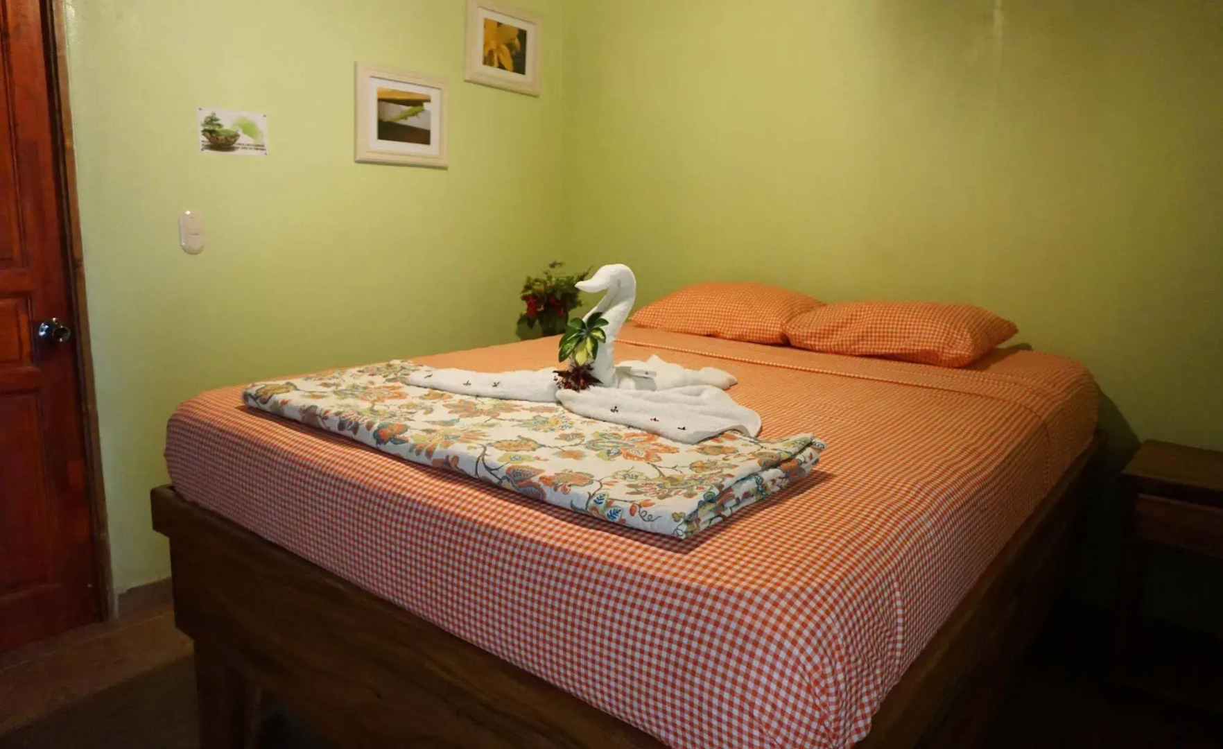 Jungle's Edge: Jiu-Jitsu, Muay Thai & Yoga Retreats