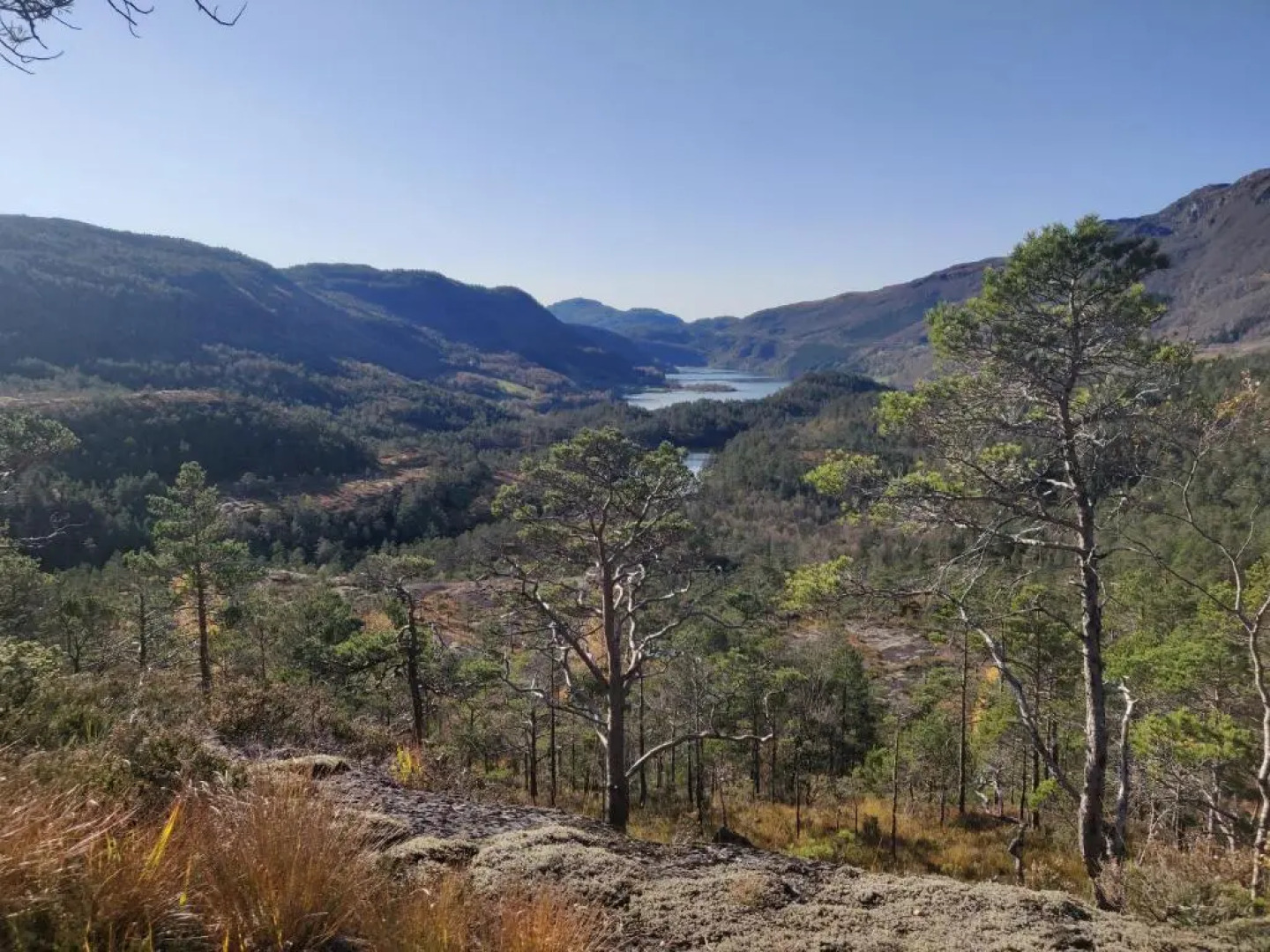 Vikedal Relax Center