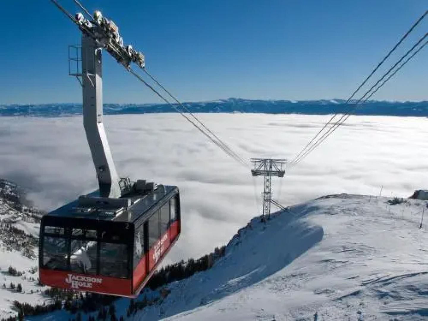 Primrose Condominiums